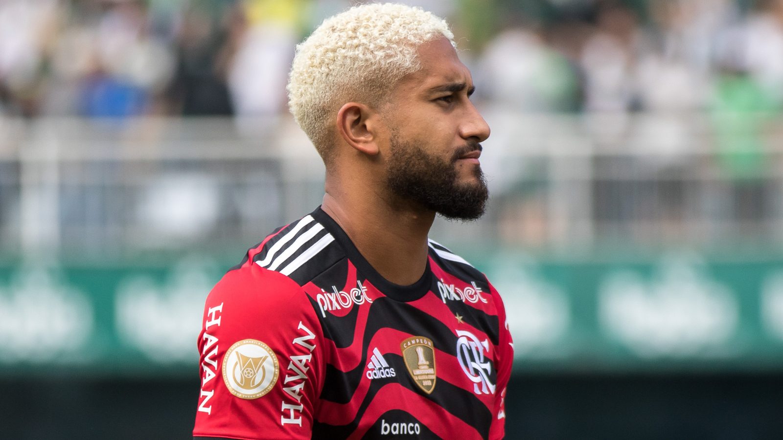 Pablo, zagueiro emprestado pelo Flamengo ao Botafogo - Foto: Robson Mafra/AGIF