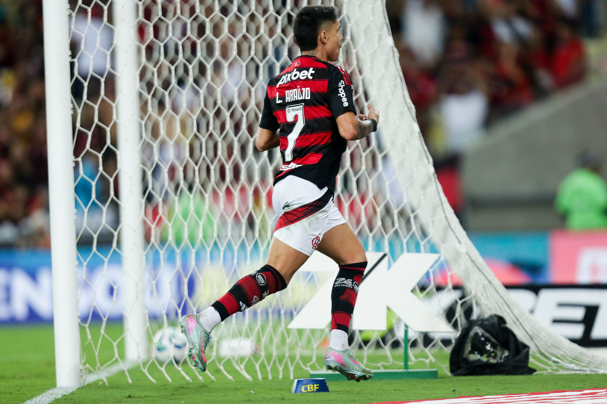 Flamengo x Fortaleza. Foto: Gilvan de Souza/Flamengo